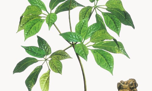 脸上痘痘反复长是什么原因引起的-脸上痘痘可以用双氧水吗网 - 为你提供脸上痘痘去除最快方法、脸上痘痘