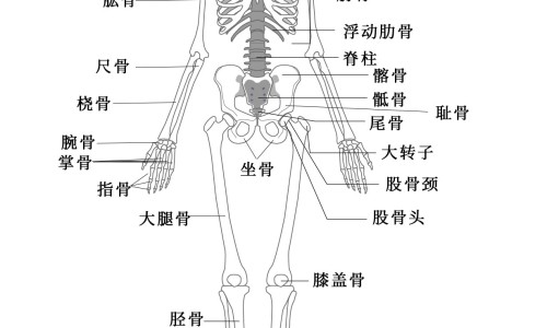脸上痘痘可以用双氧水吗网 - 为你提供脸上痘痘去除最快方法、脸上痘痘