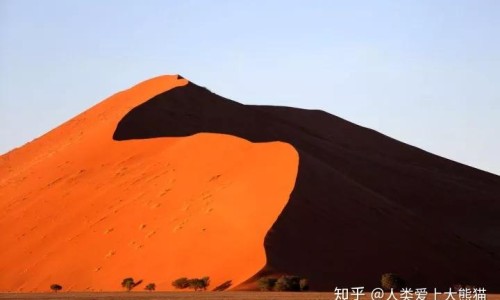 脸上痘痘反复长是什么原因引起的-脸上痘痘可以用双氧水吗网 - 为你提供脸上痘痘去除最快方法、脸上痘痘